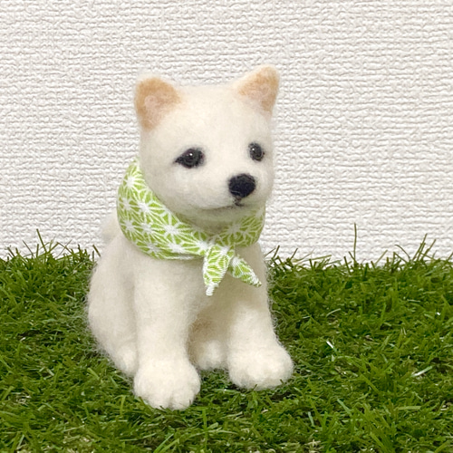 現品限り】豆柴(白)風呂敷付き 羊毛フェルト マスコット ぬいぐるみ