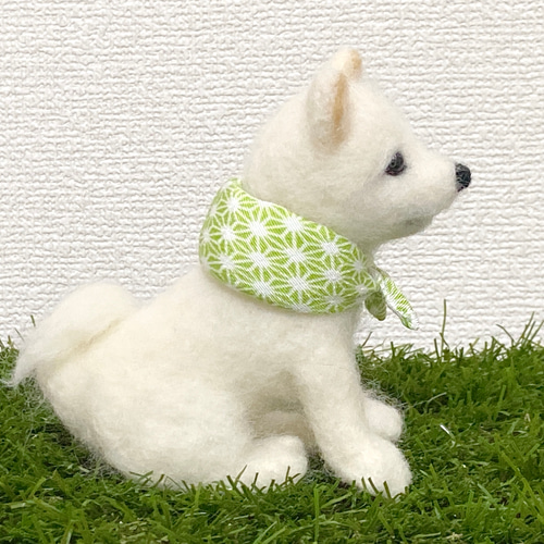 現品限り】豆柴(白)風呂敷付き 羊毛フェルト マスコット ぬいぐるみ