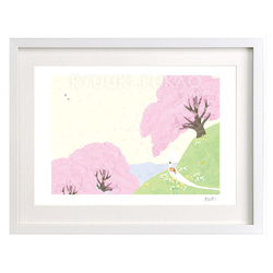 水彩画原画　桜堤と菜の花 水彩画原画 桜堤と菜の花 ＃590