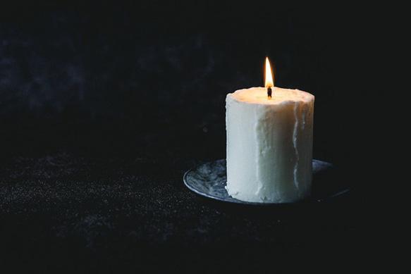 育てるキャンドルセット ソイキャンドルネイキッドsoy7 1枚目の画像