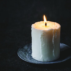 育てるキャンドルセット ソイキャンドルネイキッドsoy7 2枚目の画像