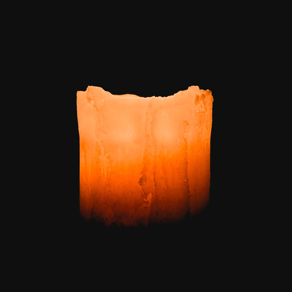 育てるキャンドルセット ソイキャンドルネイキッドsoy7 3枚目の画像