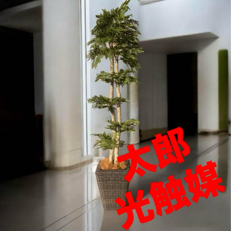 光触媒　人工観葉植物　ウォールグリーン　フェイクグリーン　エバーフレッシュ182 光触媒 人工観葉植物 ウォールグリーン フェイクグリーン