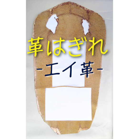 ★ワケありな逸品　お試し★【*高級皮革*エイ革はぎれ】エキゾチックレザー　エイ革（ベージュ）　(M-2) 1枚目の画像