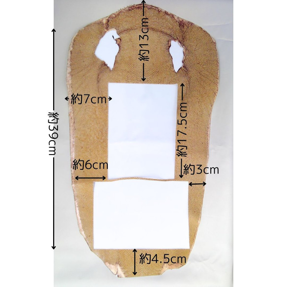 ★ワケありな逸品　お試し★【*高級皮革*エイ革はぎれ】エキゾチックレザー　エイ革（ベージュ）　(M-2) 3枚目の画像