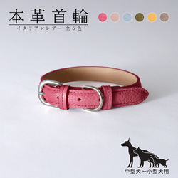 CDOｰSLHS20CBL〈BK〉】犬の首輪〈サイズ「M」〉 牛革 人気 かわいい