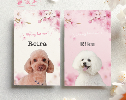 さくらページ うちの子オーダー c250f982f16396dd73d34f83884c2b