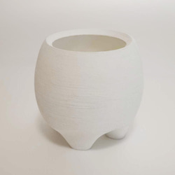 鉢セット販売]サトイモ科3種_paradise (1点限り) その他インテリア雑貨