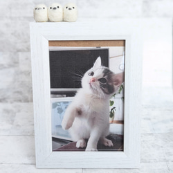 9d882a94de128f8c09f692b8506f0a