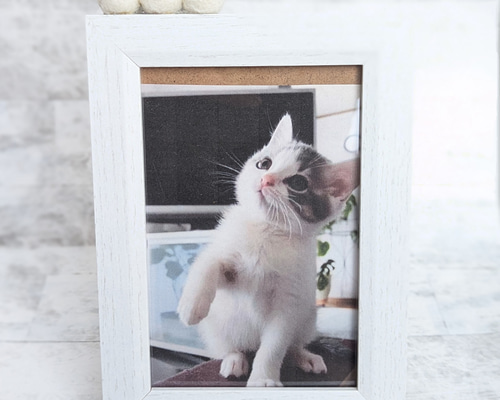 9d882a94de128f8c09f692b8506f0a