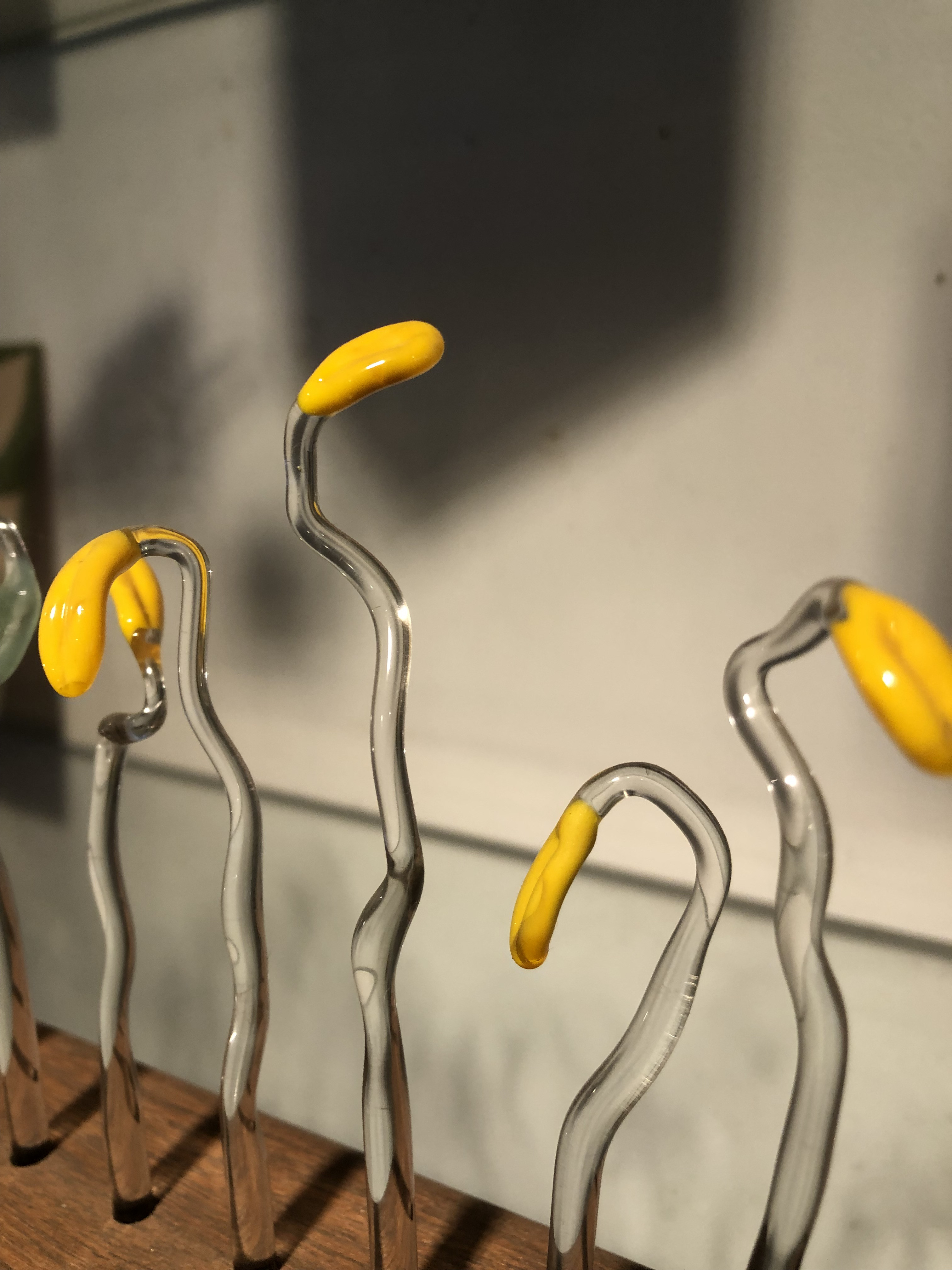 ガラスのもやしBean Sprouts(黄色)