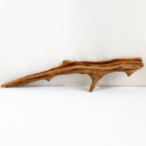 流木インテリア(自作:加工済(ヤスリがけ))