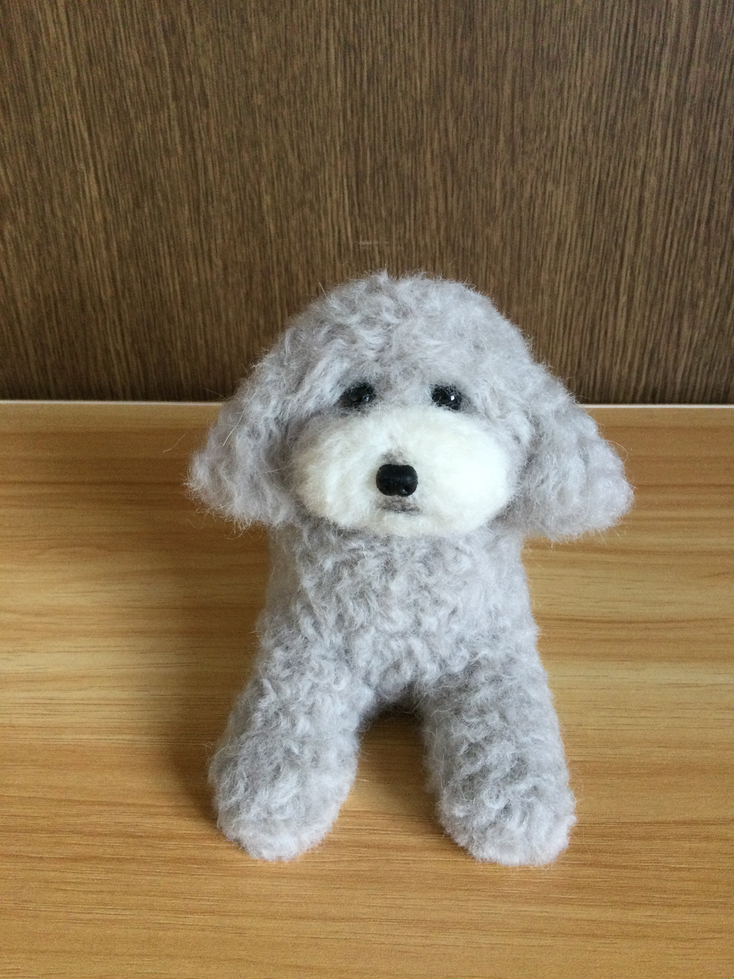 羊毛フェルト　トイプードル　シルバー　伏せ