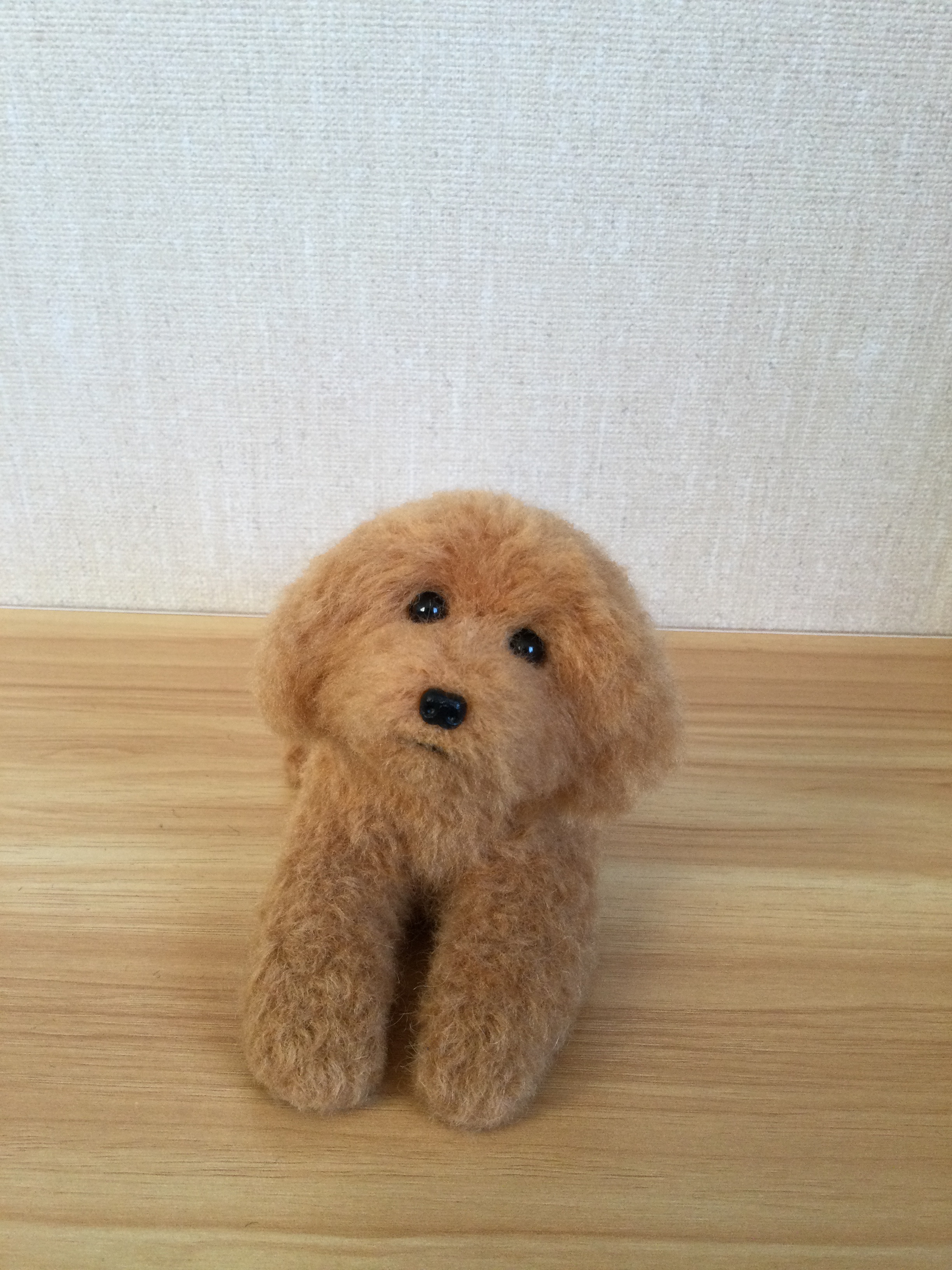 羊毛フェルト　トイプードル　レッド　伏せ
