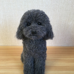 羊毛フェルト　トイプードル　グレー トイプードル（シルバー グレー）の羊毛フェルト 犬 羊毛