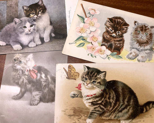 France antique 猫の古絵葉書4枚セット ポストカード takacante 通販
