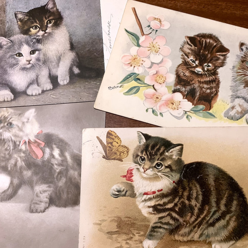 France antique 猫の古絵葉書4枚セット ポストカード takacante 通販