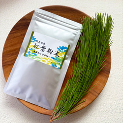 ≪ 薬用万能 無農薬 よもぎビワ クリーム 40ml ≫ その他雑貨