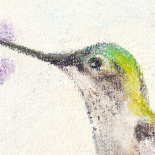 原画】『雨上がりの空の下』(猫 絵画 パステル画 ハチドリ 原画】『雨上がりの空の下』(猫 絵画 パステル画 ハチドリ
