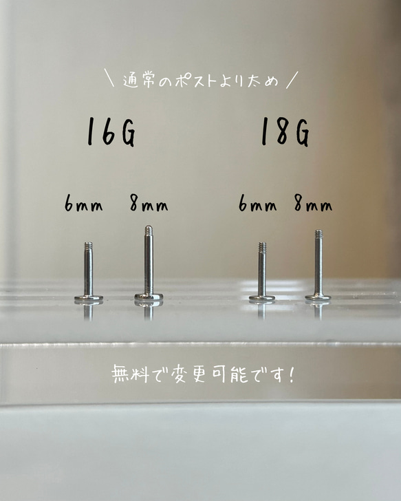 第6張的照片