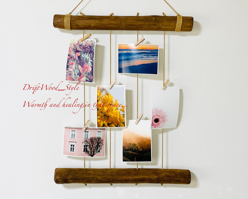 流木ガラス インテリア【E】 ウォールディスプレイ 【公式通販】