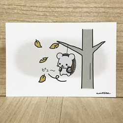 ミコちゃん ポスト ミコちゃんのポストカード〜花火 ポストカード ミコちゃん 通販