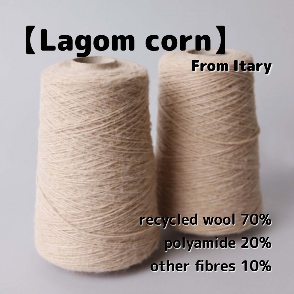 【BY4】全20色！イタリア製 ソックヤーン -Lagom-【輸入毛糸】