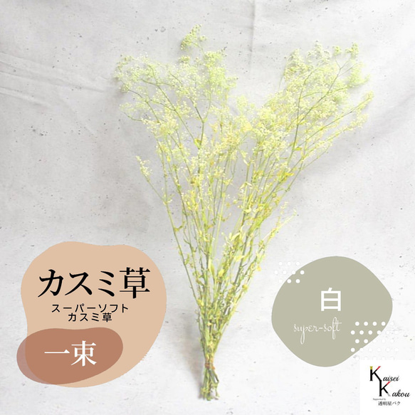 カスミ草 かすみ草 プリザーブドフラワー プリザーブドフラワー