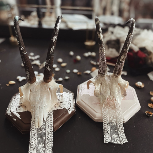 ブロカント アンティーク ハンティングトロフィー 鹿角 オブジェ hunting trophy 