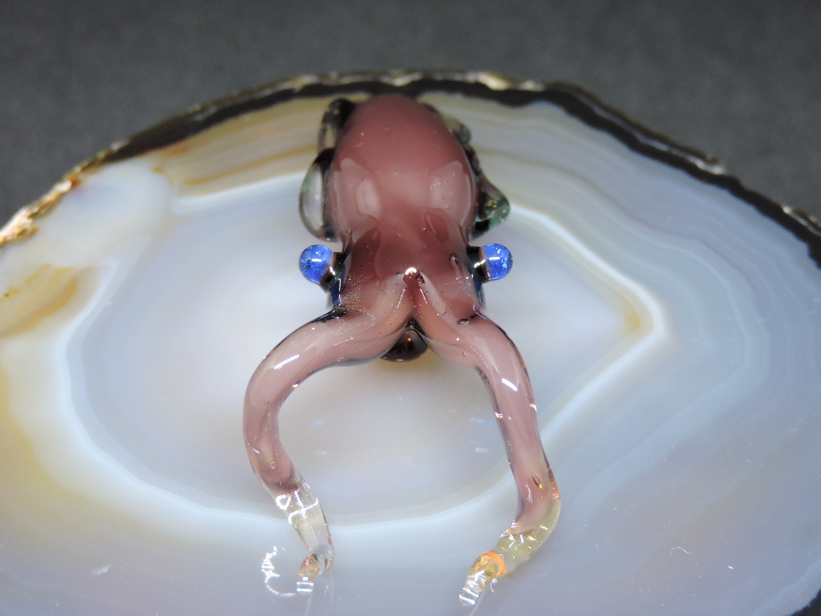 @*コ様 硝子細工のまなざし