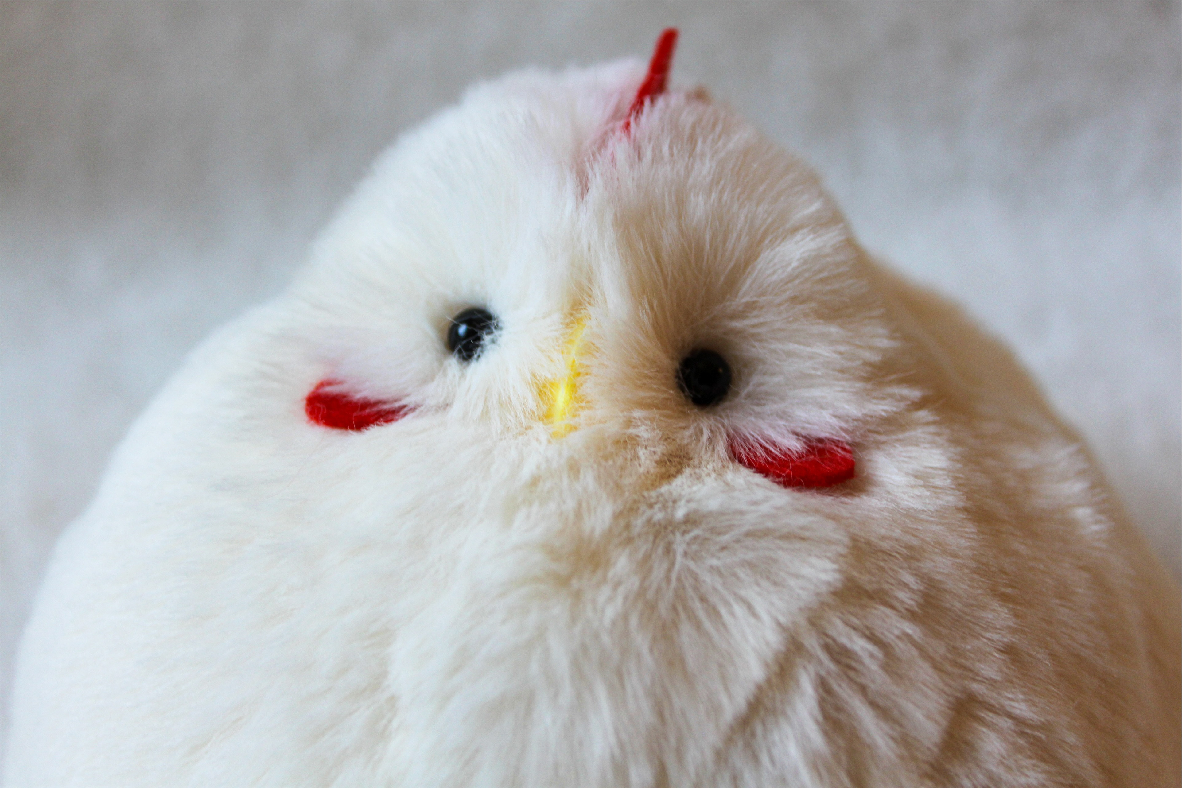 ふっくらニワトリ