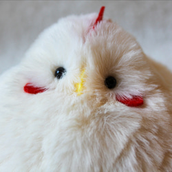 ୨୧ milky berry bunny ୨୧ ぬい服 着ぐるみ 11cm〜12cmぬい服