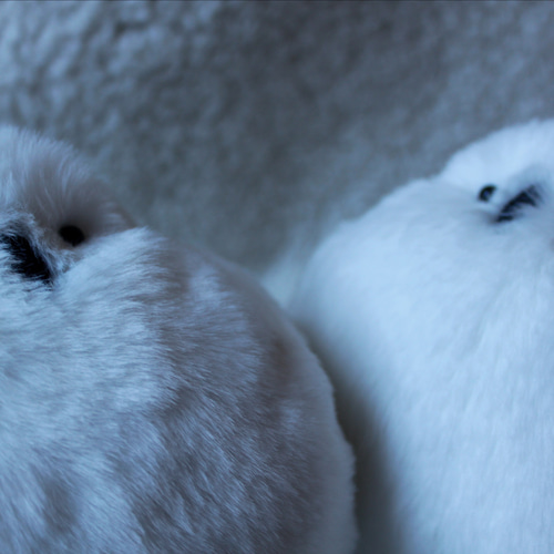 ふっくら雷鳥 ぬいぐるみ 星雲 通販 18819668｜Creema(クリーマ)