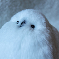 ふっくら雷鳥 ぬいぐるみ 星雲 通販 18819668｜Creema(クリーマ)