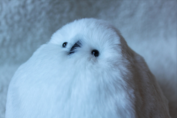 ふっくら雷鳥 ぬいぐるみ 星雲 通販 18819668｜Creema(クリーマ)