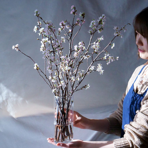 啓翁桜|Mサイズ【ガラス花瓶セット】 スワッグ Sekibokka 通販 啓翁桜|Mサイズ【ガラス花瓶セット】 スワッグ Sekibokka 通販