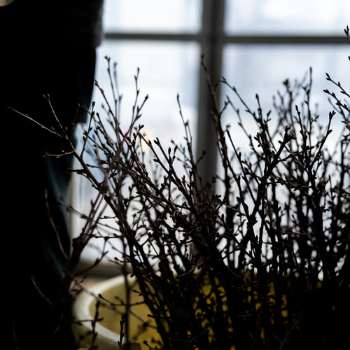 啓翁桜｜Mサイズ【ガラス花瓶セット】 スワッグ Sekibokka 通販