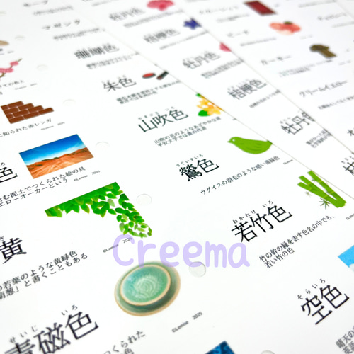 イラストで楽しく覚える慣用色名暗記カード 2・3級用 色彩検定 特に