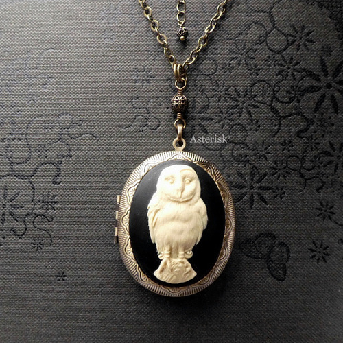 幸せの鳥 ふくろう カメオ ロケット ペンダント (アイボリー×ブラック