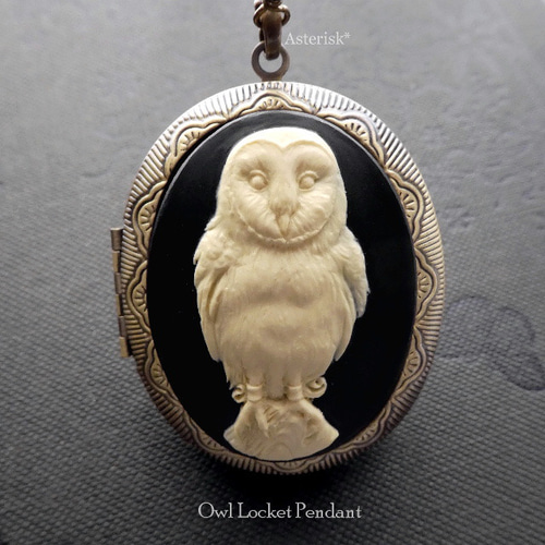 幸せの鳥 ふくろう カメオ ロケット ペンダント (アイボリー×ブラック