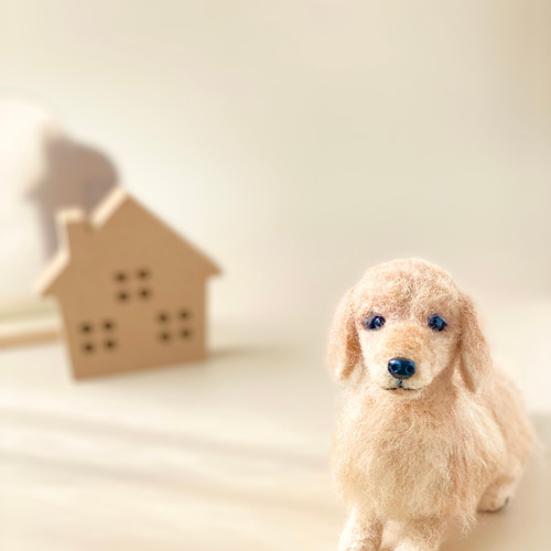いつでもいっしょ♪ ふわふわ羊毛フェルトのダックスフント 犬の