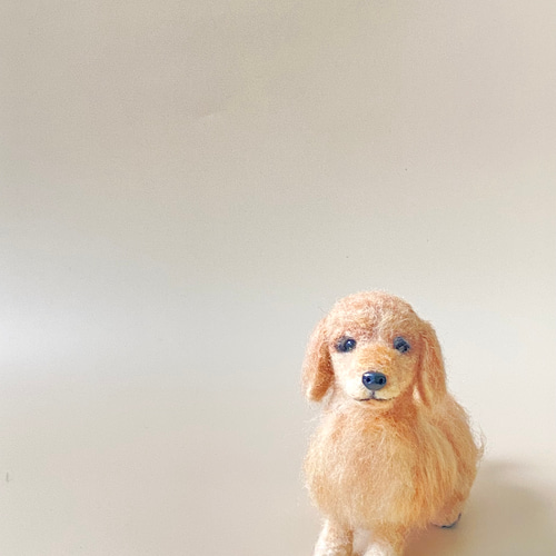 いつでもいっしょ♪ ふわふわ羊毛フェルトのダックスフント 犬の