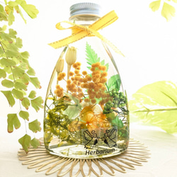 【新作】ミモザハーバリウム 元気が出るビタミンカラー ② ギフトにも 2枚目の画像