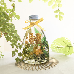 【新作】ミモザハーバリウム 元気が出るビタミンカラー ② ギフトにも 3枚目の画像