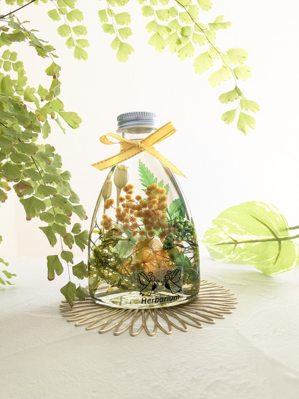 【新作】ミモザハーバリウム 元気が出るビタミンカラー ② ギフトにも 3枚目の画像