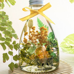 【新作】ミモザハーバリウム 元気が出るビタミンカラー ② ギフトにも 1枚目の画像