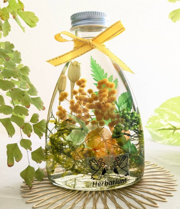 【新作】ミモザハーバリウム 元気が出るビタミンカラー ② ギフトにも 1枚目の画像