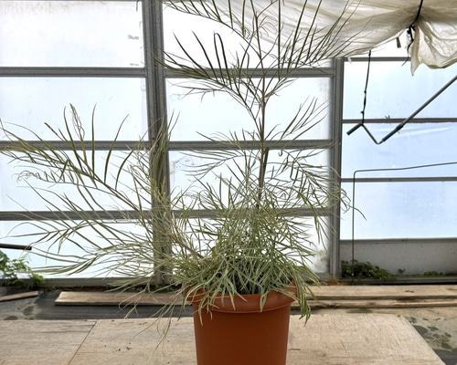 465bcd6f41c75d1d3d688916ac2699