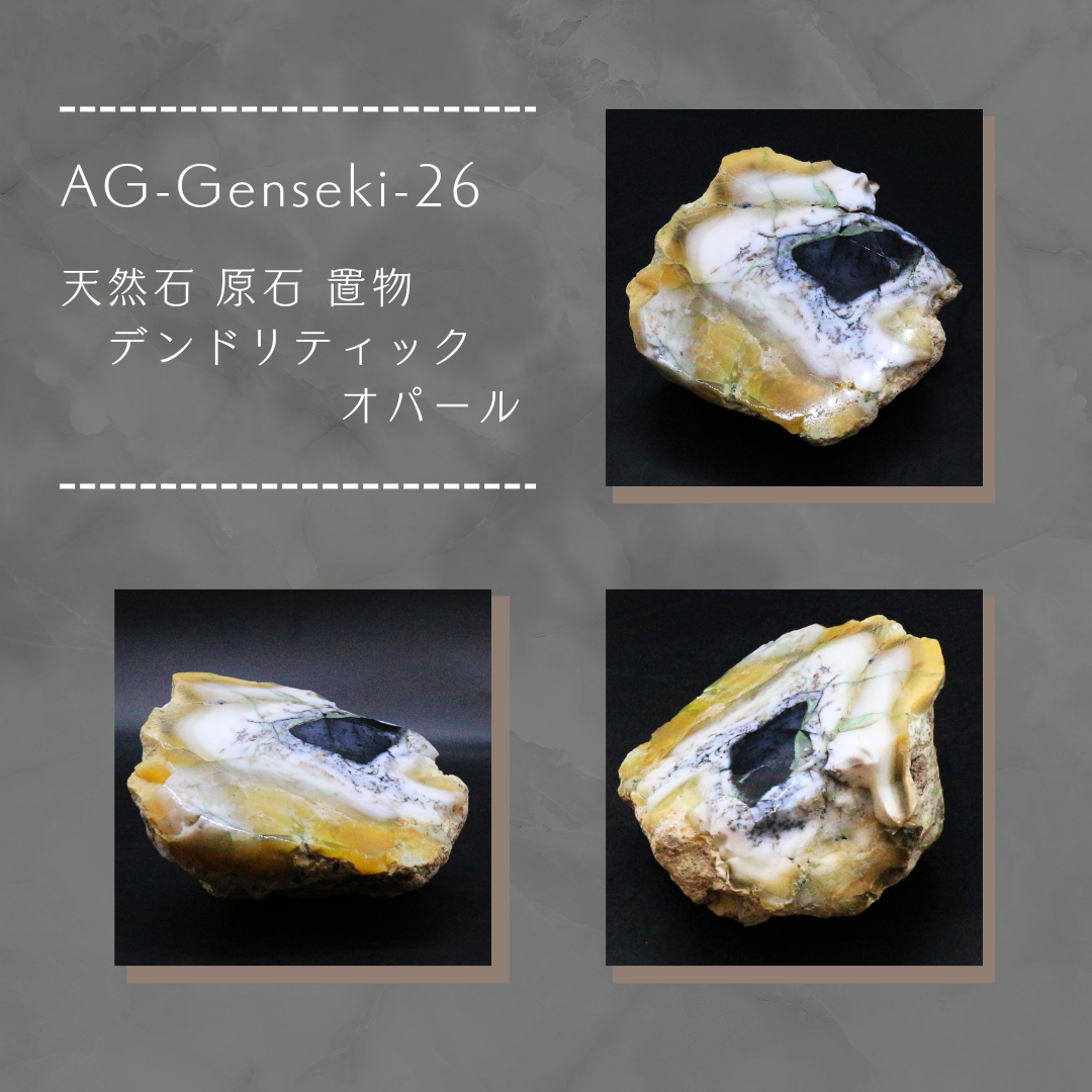 AG-Genseki-26　天然石 原石 置物 デンドリティックオパール 8,030円