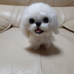 ペキニーズ ぬいぐるみ のおすすめ人気通販 検索結果｜Creema(クリーマ